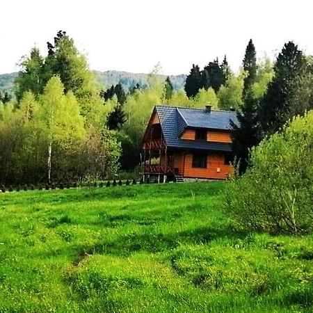 Domarka Caloroczny Dom W Bieszczadach Wetlina Kültér fotó